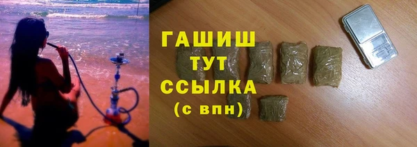 2c-b Ельня
