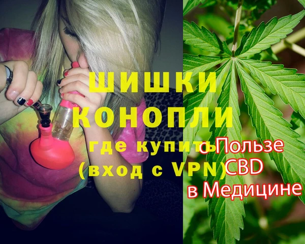 2c-b Ельня