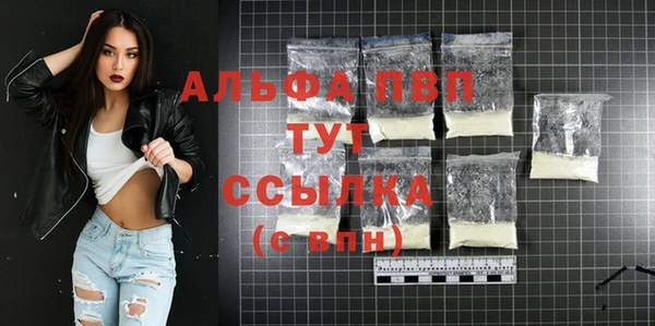 2c-b Ельня