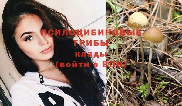 гашик Елабуга