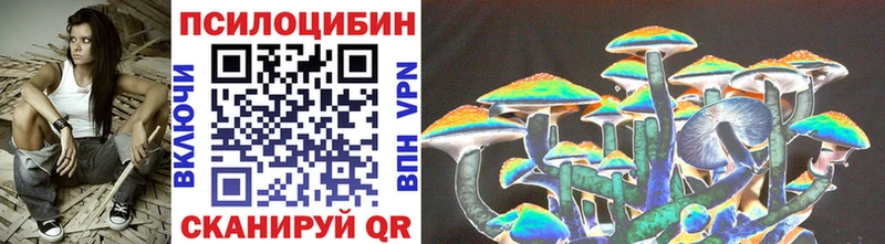 Галлюциногенные грибы Psilocybe  Теберда 